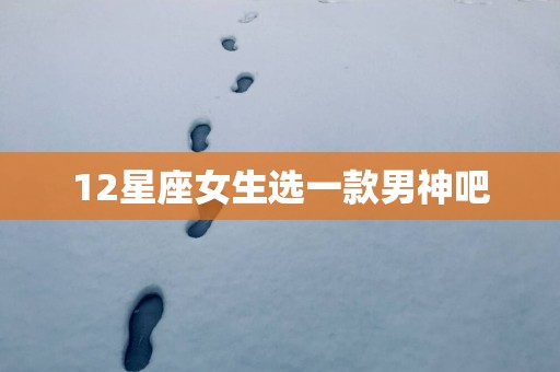 12星座女生选一款男神吧