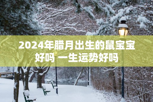 2025年腊月出生的鼠宝宝好吗 一生运势好吗