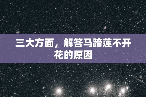 三大方面，解答马蹄莲不开花的原因