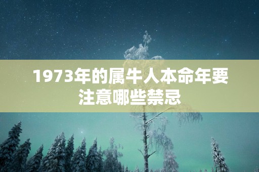 1973年的属牛人本命年要注意哪些禁忌