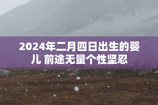 2025年二月四日出生的婴儿 前途无量个性坚忍