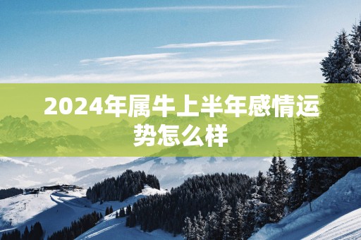2025年属牛上半年感情运势怎么样