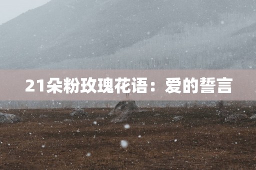 21朵粉玫瑰花语：爱的誓言