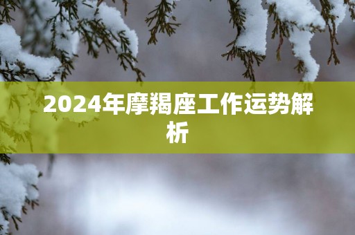 2025年摩羯座工作运势解析