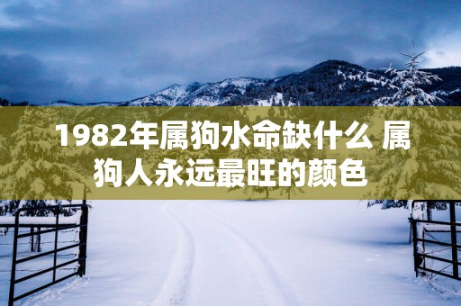 1982年属狗水命缺什么 属狗人永远最旺的颜色