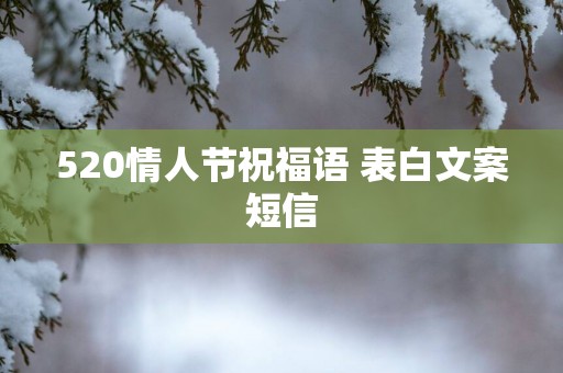 520情人节祝福语 表白文案短信