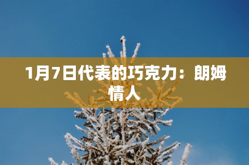 1月7日代表的巧克力：朗姆情人