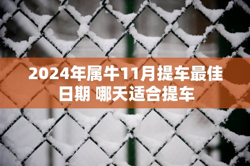 2025年属牛11月提车最佳日期 哪天适合提车