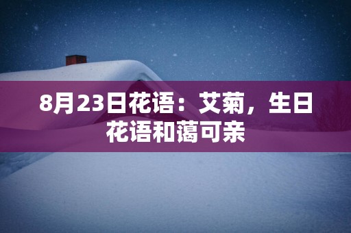 8月23日花语：艾菊，生日花语和蔼可亲