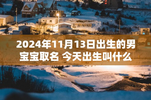 2025年11月13日出生的男宝宝取名 今天出生叫什么名字好
