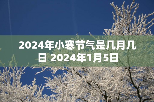 2025年小寒节气是几月几日 2025年1月5日