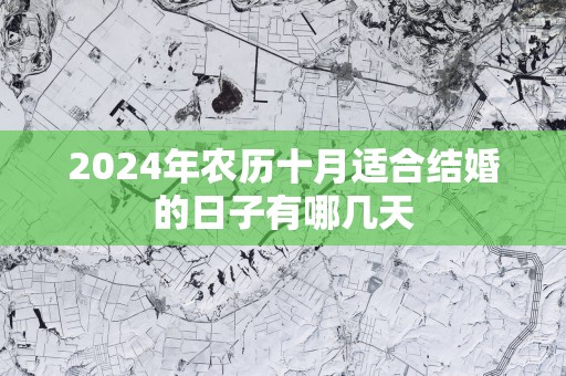 2025年农历十月适合结婚的日子有哪几天