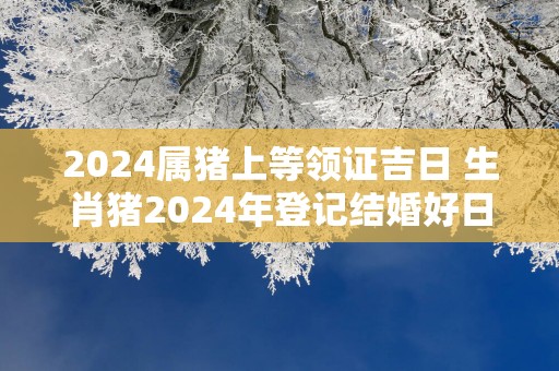 2025属猪上等领证吉日 生肖猪2025年登记结婚好日子