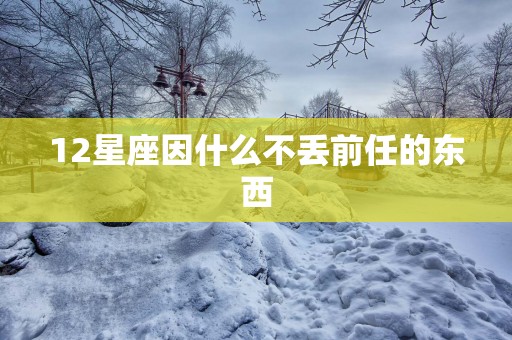 12星座因什么不丢前任的东西