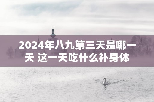 2025年八九第三天是哪一天 这一天吃什么补身体