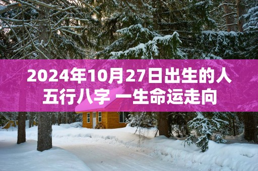 2025年10月27日出生的人五行八字 一生命运走向