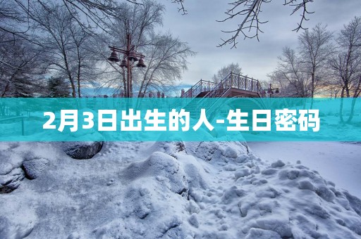 2月3日出生的人-生日密码