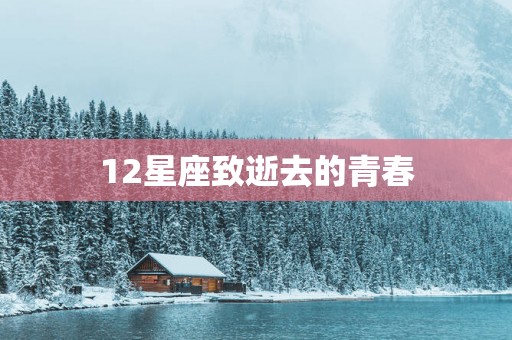 12星座致逝去的青春