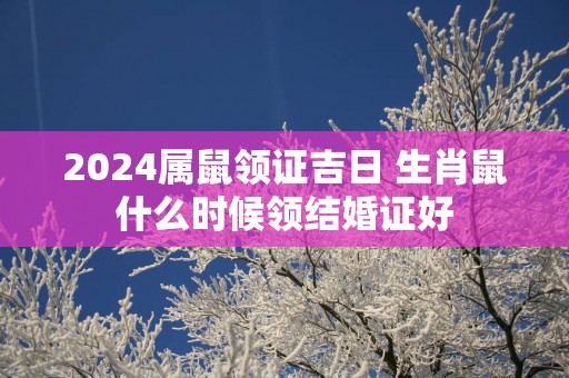2025属鼠领证吉日 生肖鼠什么时候领结婚证好