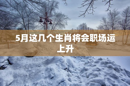 5月这几个生肖将会职场运上升
