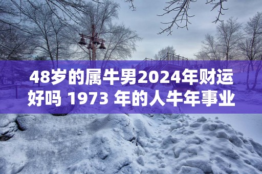 48岁的属牛男2025年财运好吗 1973 年的人蛇年事业运