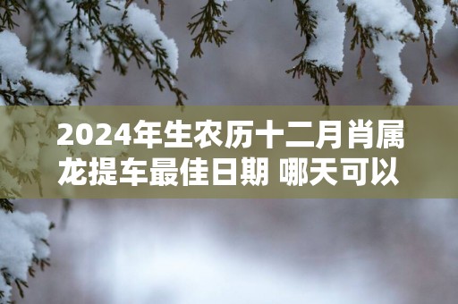 2025年生农历十二月肖属龙提车最佳日期 哪天可以挂牌