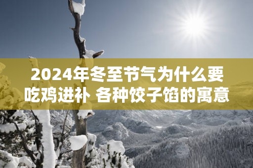 2025年冬至节气为什么要吃鸡进补 各种饺子馅的寓意