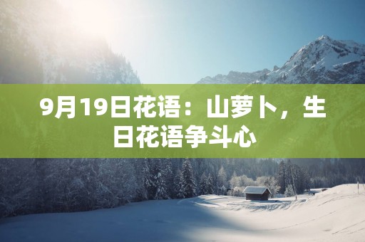 9月19日花语：山萝卜，生日花语争斗心