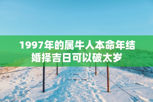 1997年的属牛人本命年结婚择吉日可以破太岁