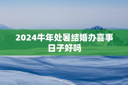 2025蛇年处暑结婚办喜事日子好吗