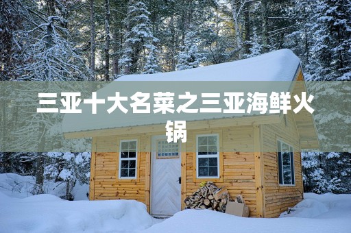 三亚十大名菜之三亚海鲜火锅