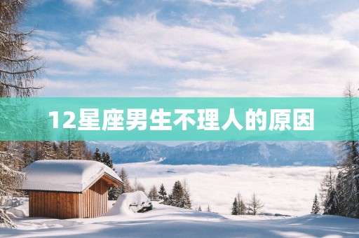 12星座男生不理人的原因