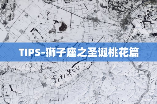 TIPS-狮子座之圣诞桃花篇