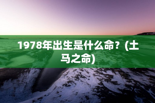 1978年出生是什么命？(土马之命)