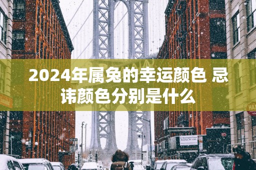 2025年属兔的幸运颜色 忌讳颜色分别是什么