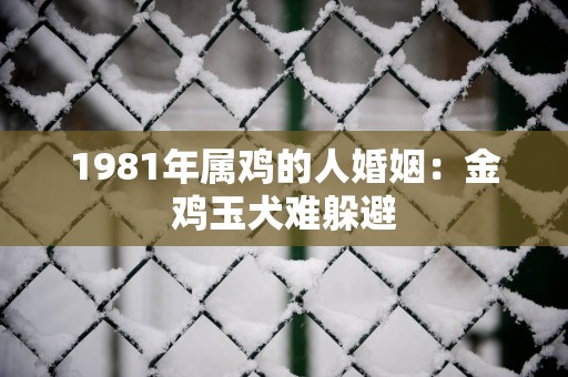 1981年属鸡的人婚姻：金鸡玉犬难躲避