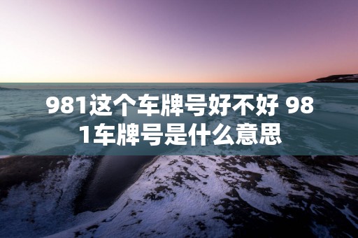 981这个车牌号好不好 981车牌号是什么意思