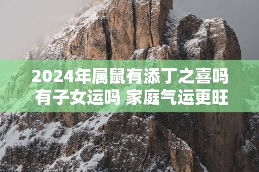 2025年属鼠有添丁之喜吗 有子女运吗 家庭气运更旺