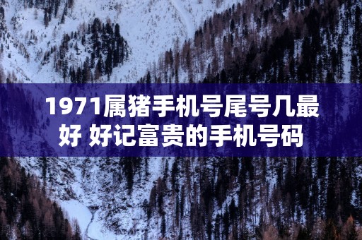1971属猪手机号尾号几最好 好记富贵的手机号码