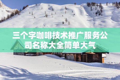 三个字咖啡技术推广服务公司名称大全简单大气