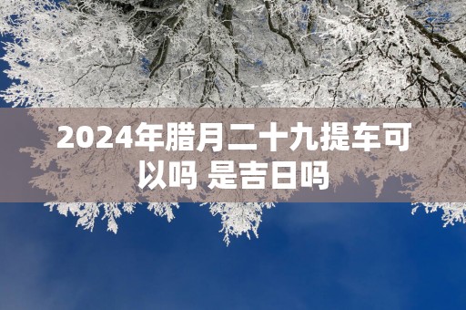 2025年腊月二十九提车可以吗 是吉日吗