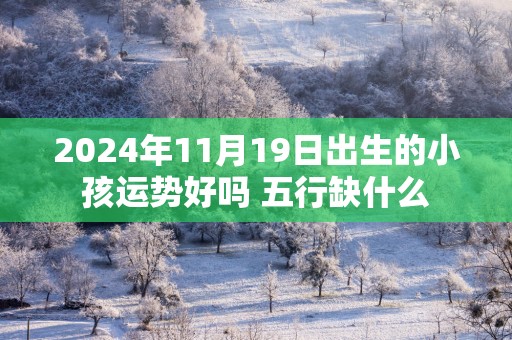 2025年11月19日出生的小孩运势好吗 五行缺什么