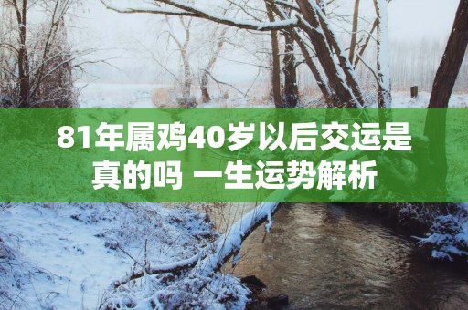 81年属鸡40岁以后交运是真的吗 一生运势解析