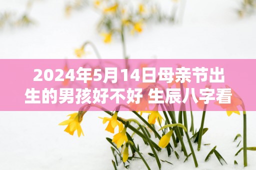 2025年5月14日母亲节出生的男孩好不好 生辰八字看命