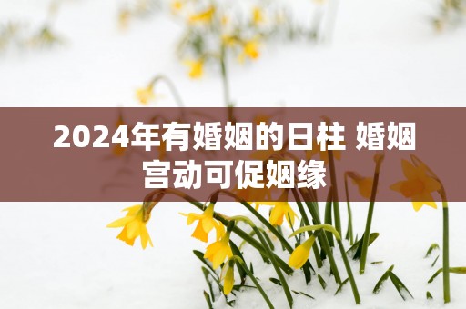 2025年有婚姻的日柱 婚姻宫动可促姻缘