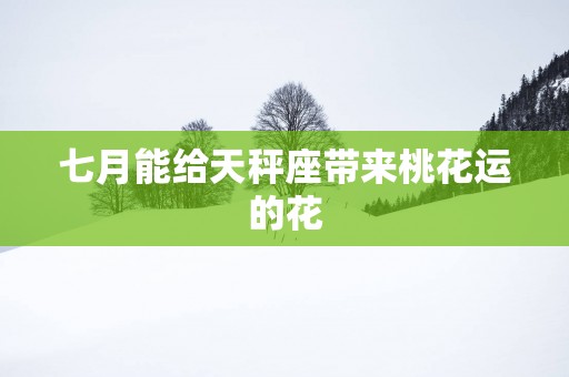 七月能给天秤座带来桃花运的花