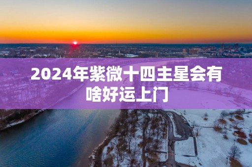 2025年紫微十四主星会有啥好运上门