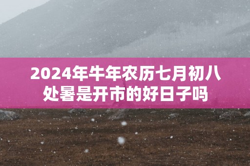 2025年蛇年农历七月初八处暑是开市的好日子吗