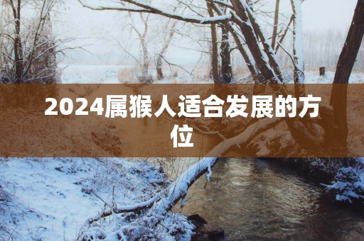 2025属猴人适合发展的方位
