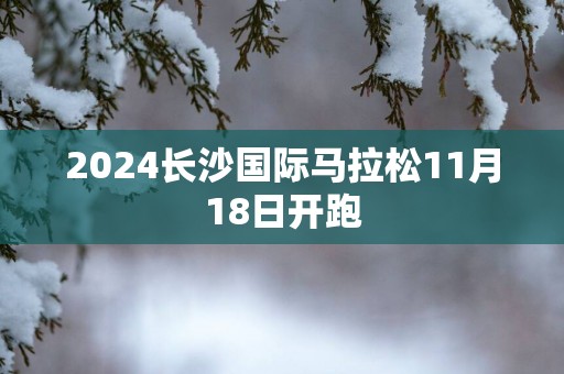 2025长沙国际马拉松11月18日开跑